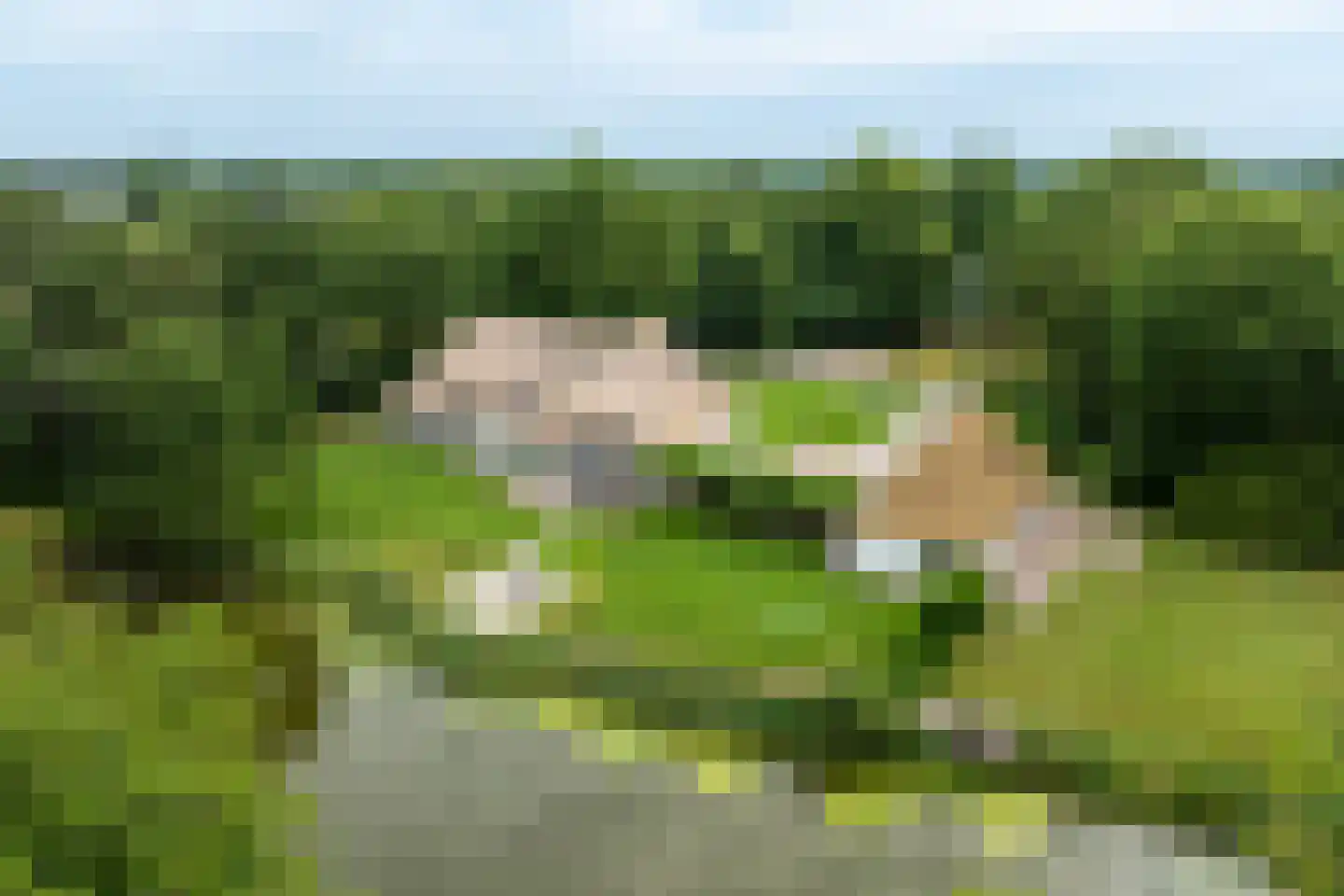 Kranenhofscheweg 1 Escharen thumbnail 32