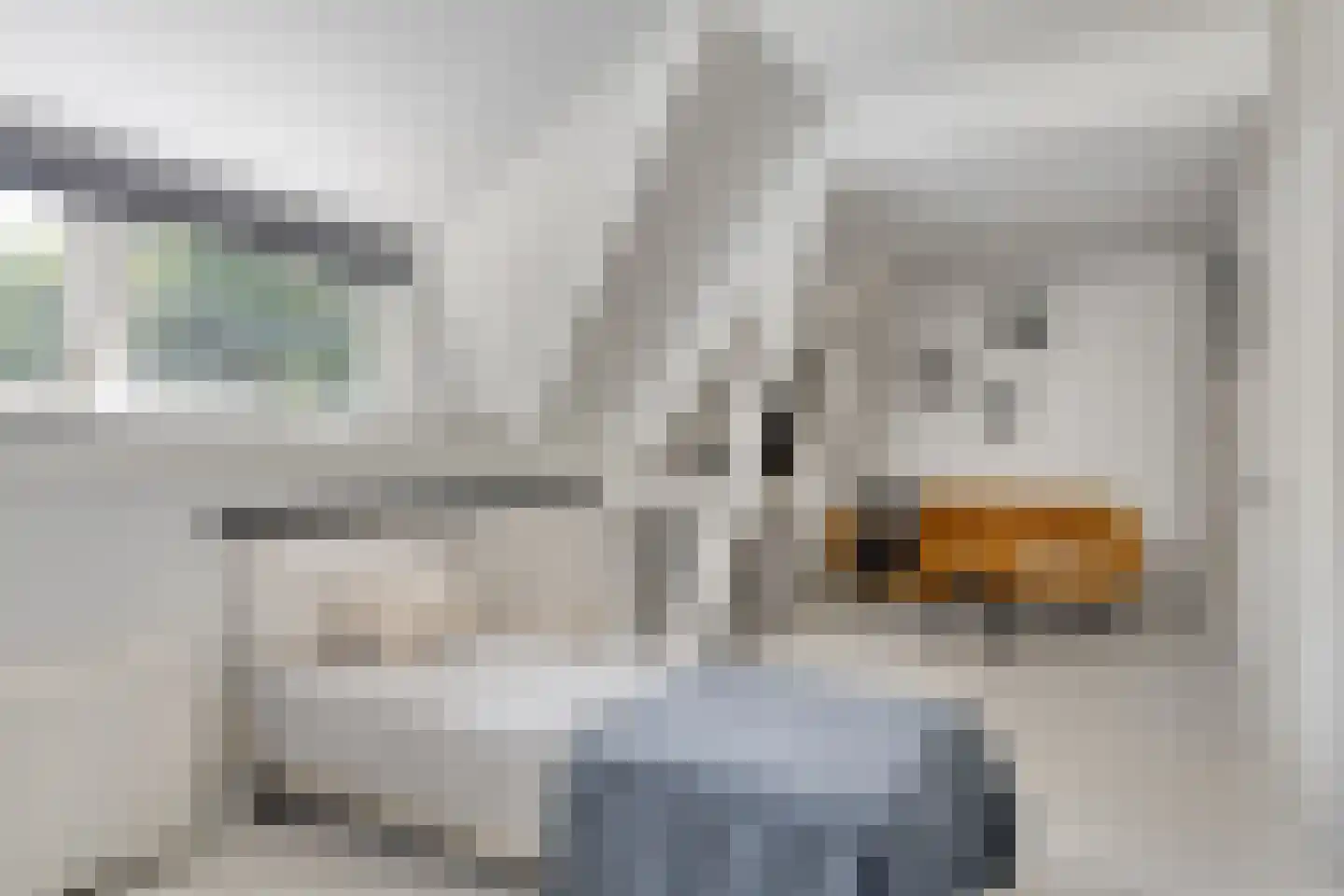Kranenhofscheweg 1 Escharen thumbnail 43