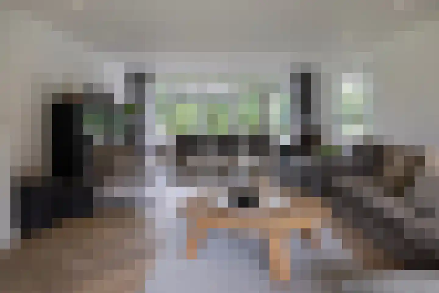 Kranenhofscheweg 1 Escharen thumbnail 5