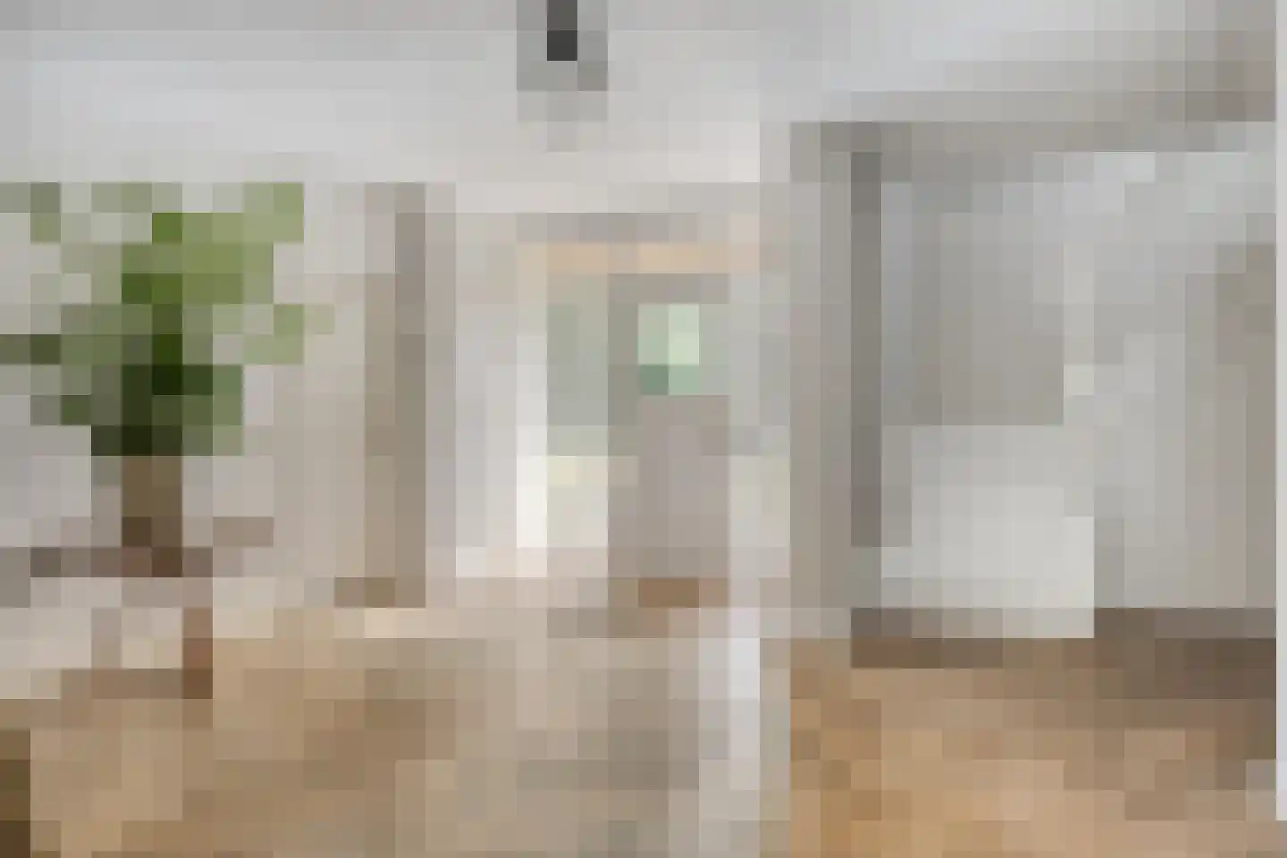 Kranenhofscheweg 1 Escharen thumbnail 5