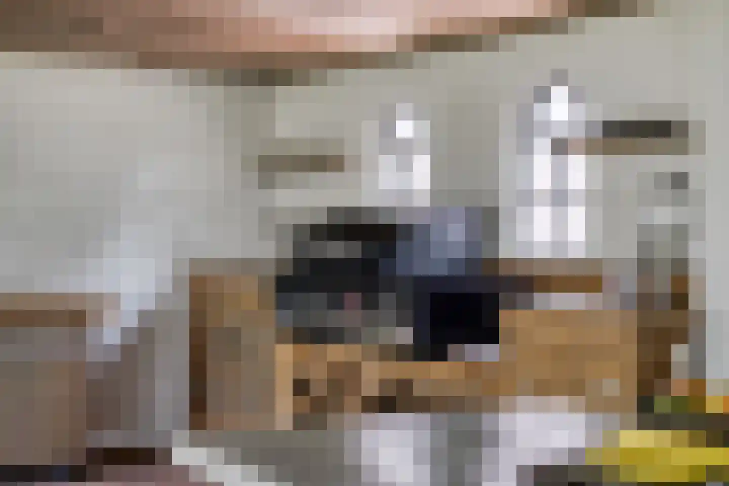 Kranenhofscheweg 1 Escharen thumbnail 65