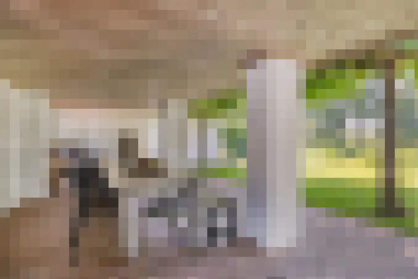 Kranenhofscheweg 1 Escharen thumbnail 66