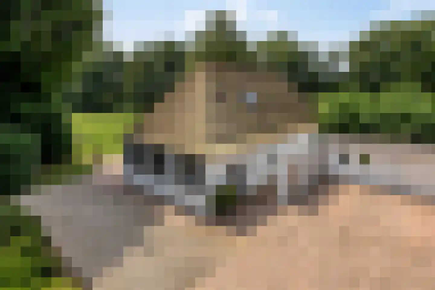 Kranenhofscheweg 1 Escharen thumbnail 68