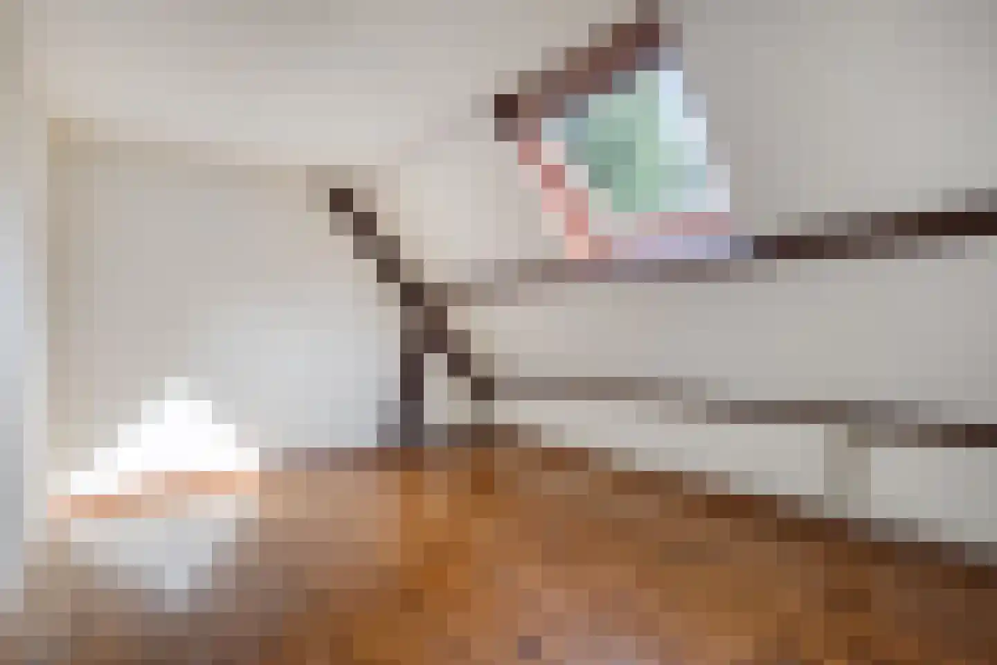 Kranenhofscheweg 1 Escharen thumbnail 81
