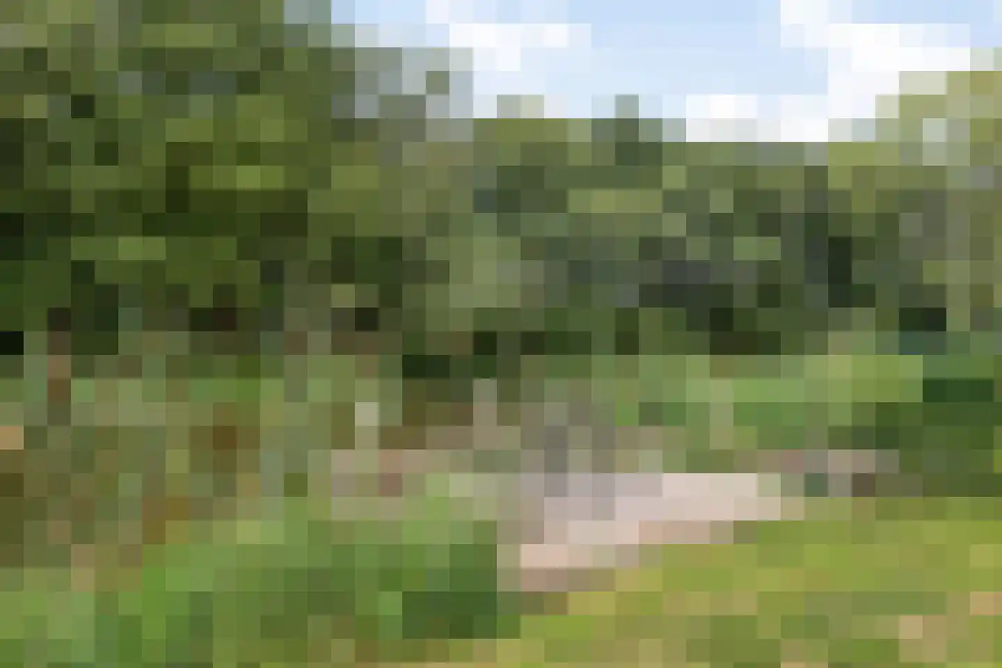 Kranenhofscheweg 1 Escharen thumbnail 88