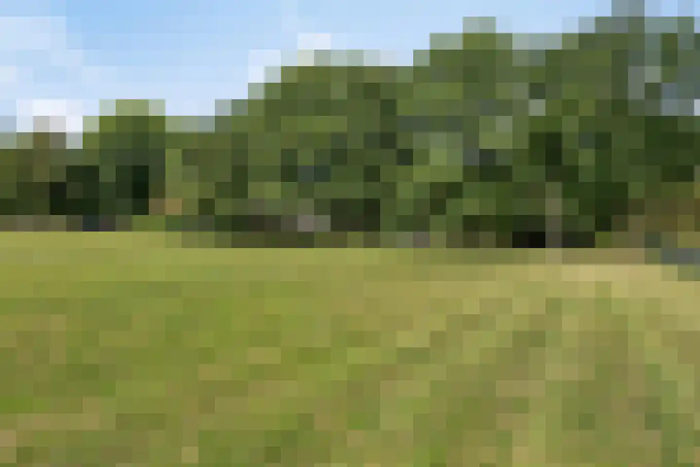 Kranenhofscheweg 1 Escharen thumbnail 90