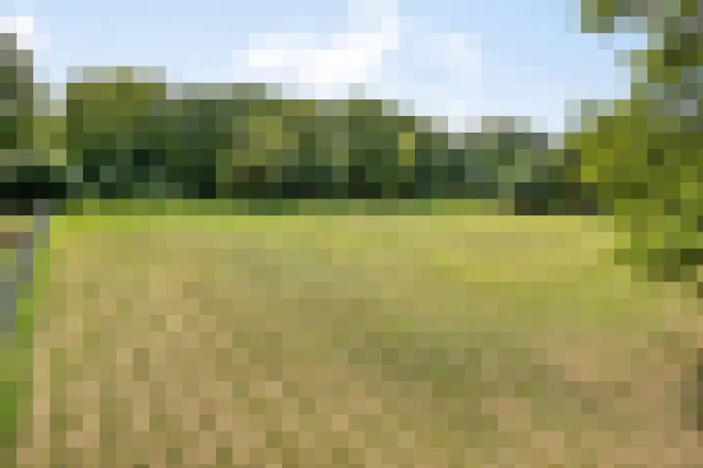 Kranenhofscheweg 1 Escharen thumbnail 91