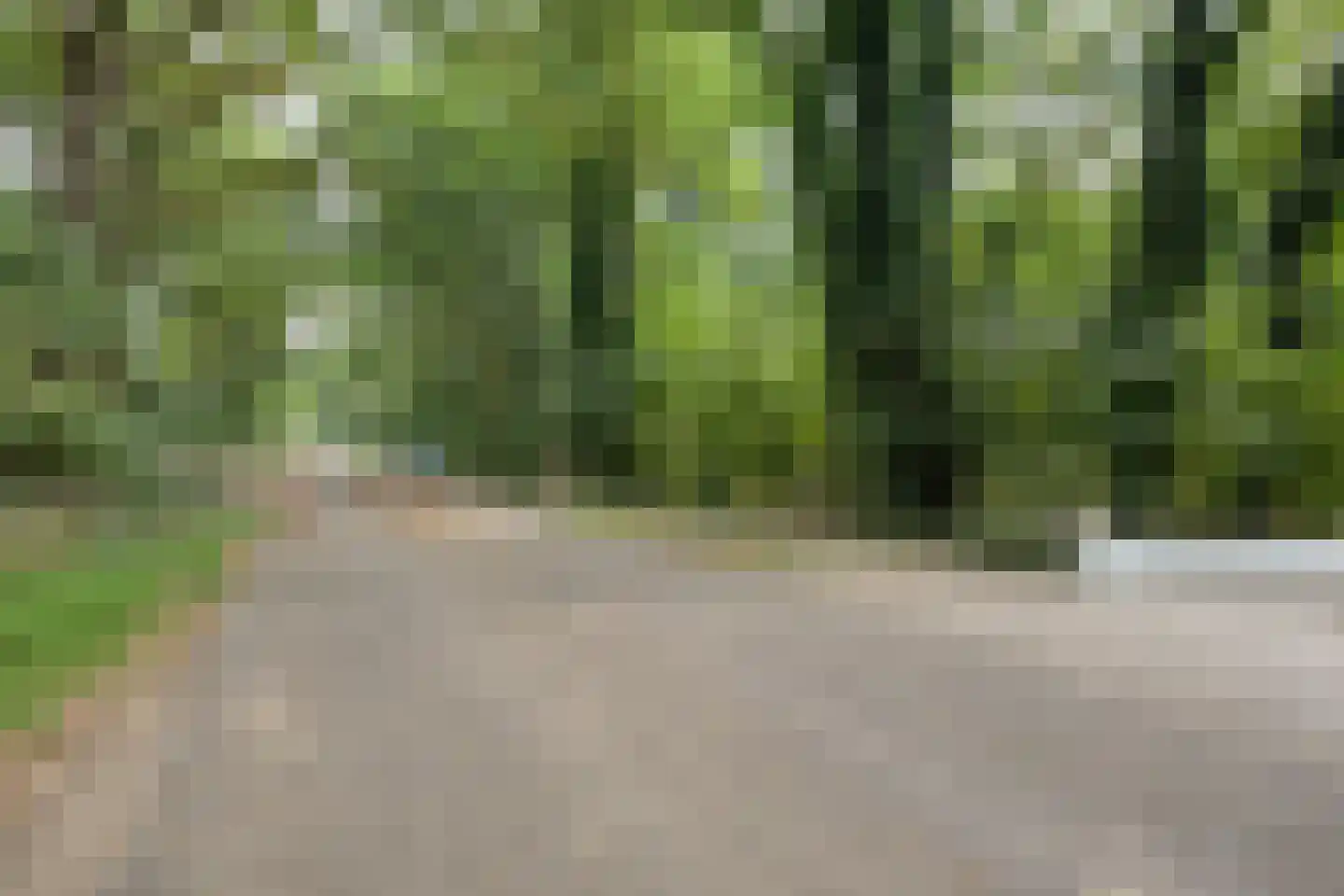 Kranenhofscheweg 1 Escharen thumbnail 95