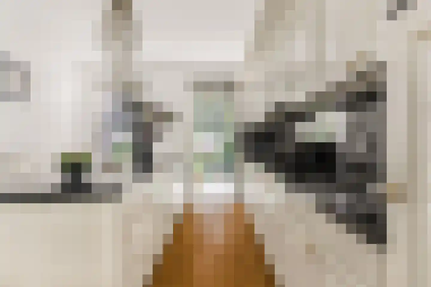Kranenhout 19 Hoofddorp thumbnail 14