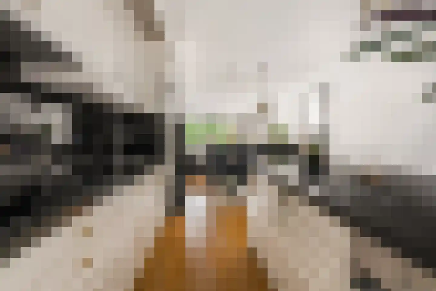 Kranenhout 19 Hoofddorp thumbnail 15