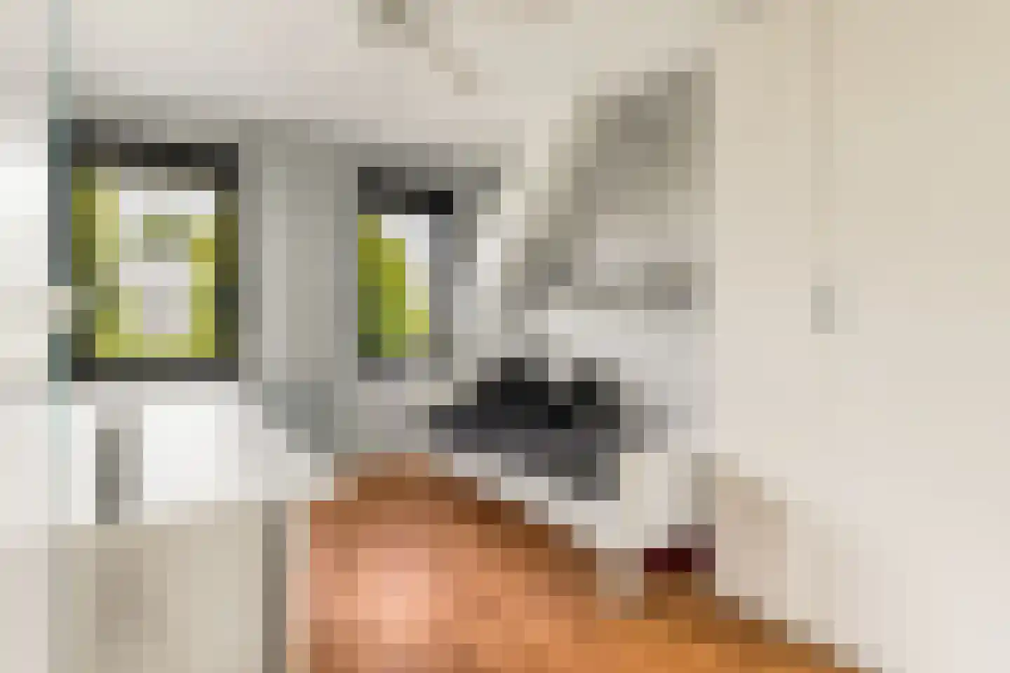 Kranenhout 19 Hoofddorp thumbnail 37