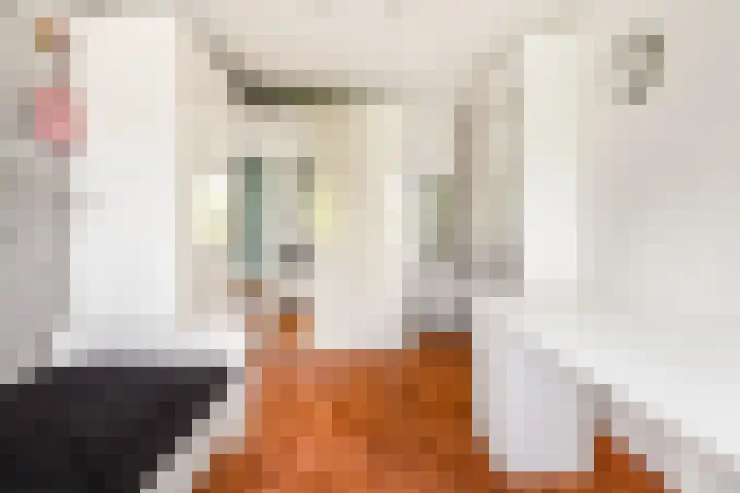 Kranenhout 19 Hoofddorp thumbnail 38