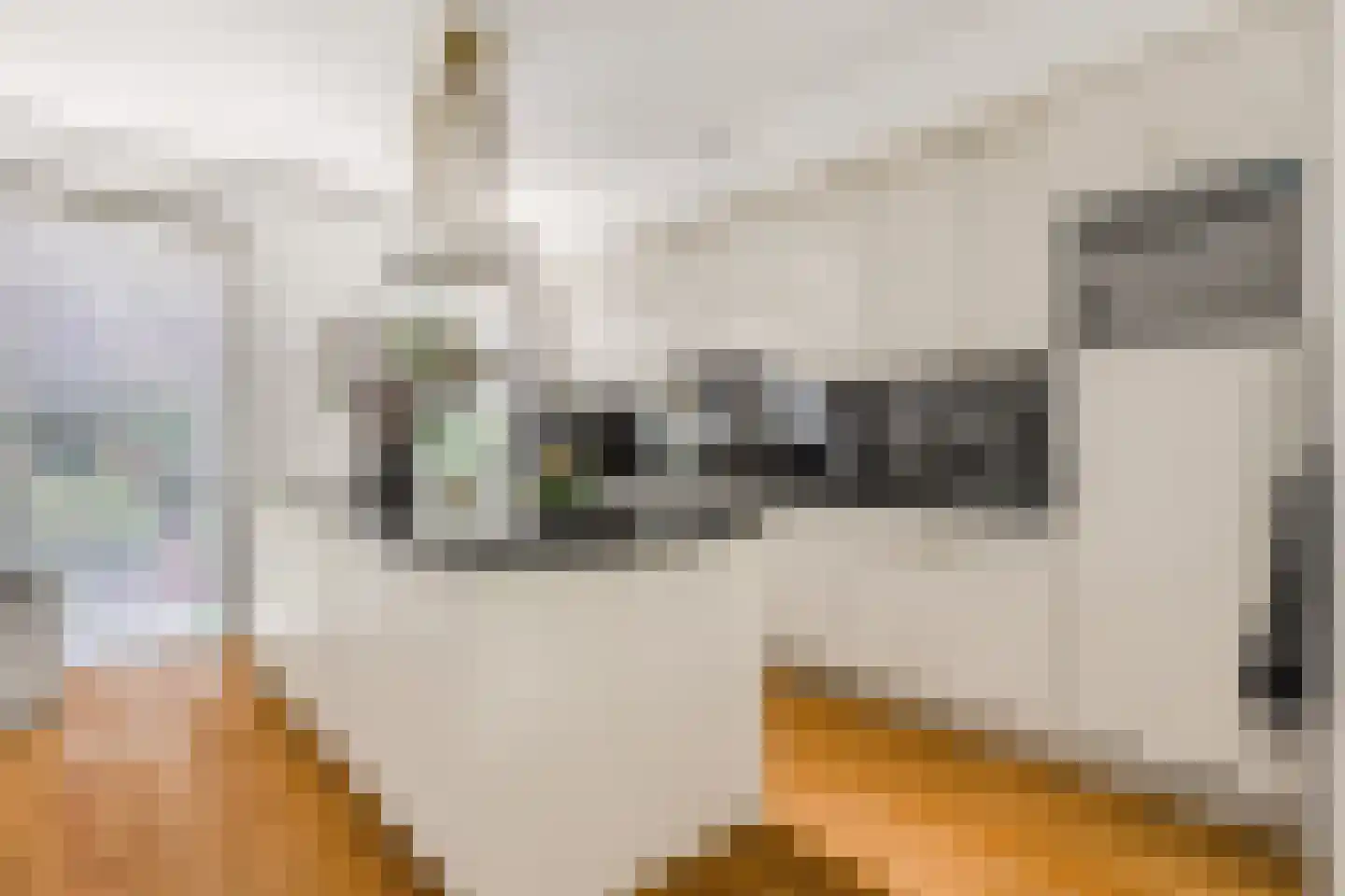 Kranenhout 19 Hoofddorp thumbnail 4