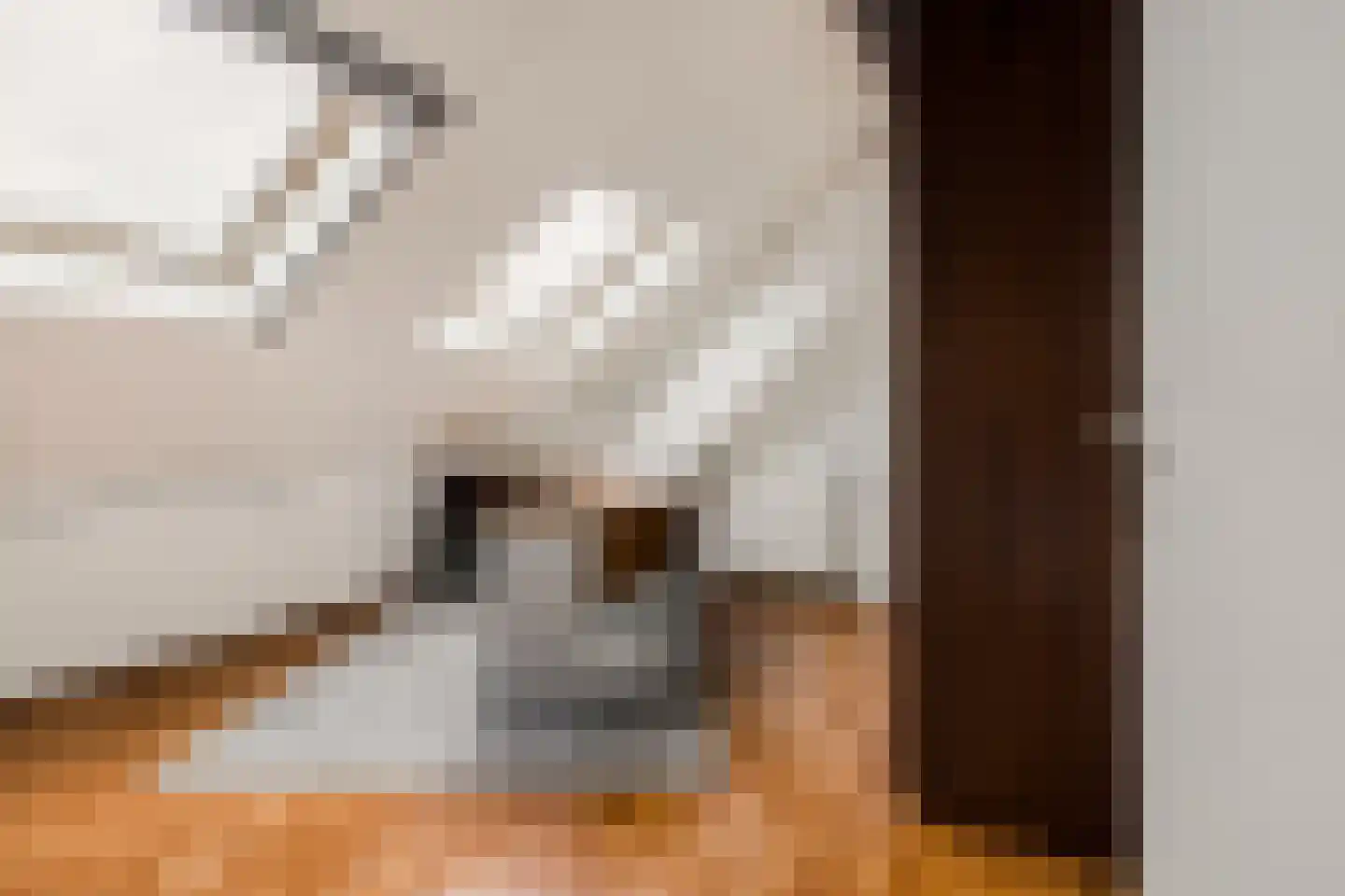 Kranenhout 19 Hoofddorp thumbnail 40