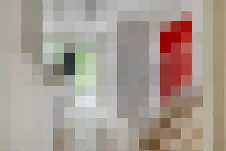 Kranenhout 27 Hoofddorp thumbnail 10