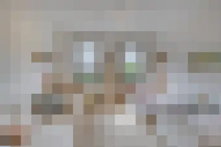 Kranenhout 27 Hoofddorp thumbnail 15