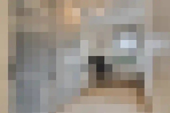 Kranenhout 27 Hoofddorp thumbnail 20