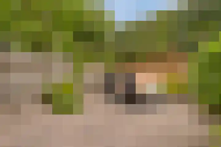 Kranenhout 27 Hoofddorp thumbnail 28