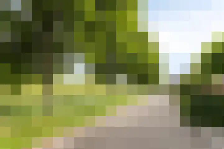Kranenhout 27 Hoofddorp thumbnail 30