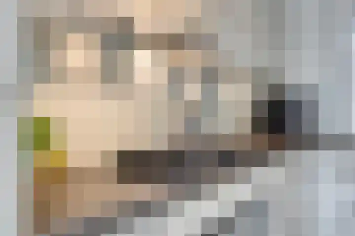 Kranenhout 27 Hoofddorp thumbnail 9
