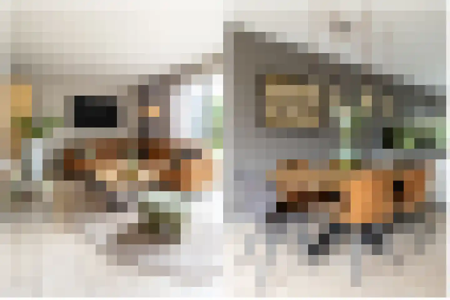 Kranenhout 47 Hoofddorp thumbnail 10