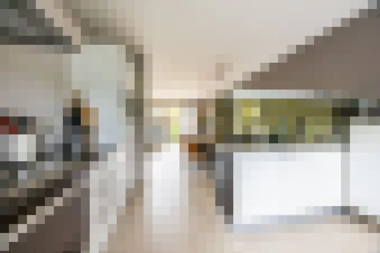 Kranenhout 47 Hoofddorp thumbnail 19