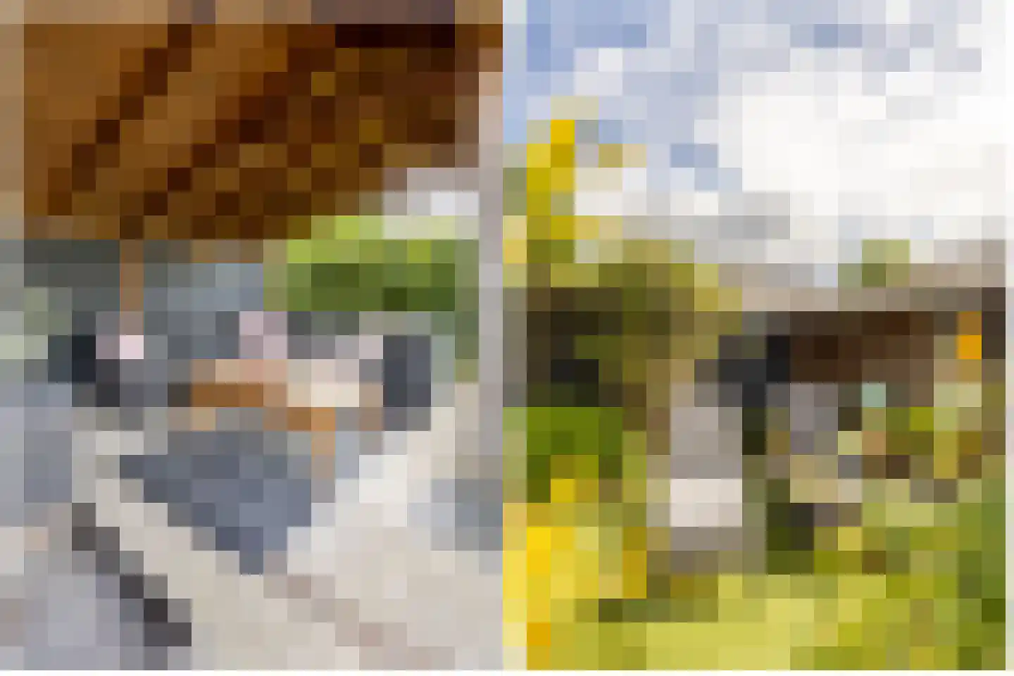 Kranenhout 47 Hoofddorp thumbnail 23