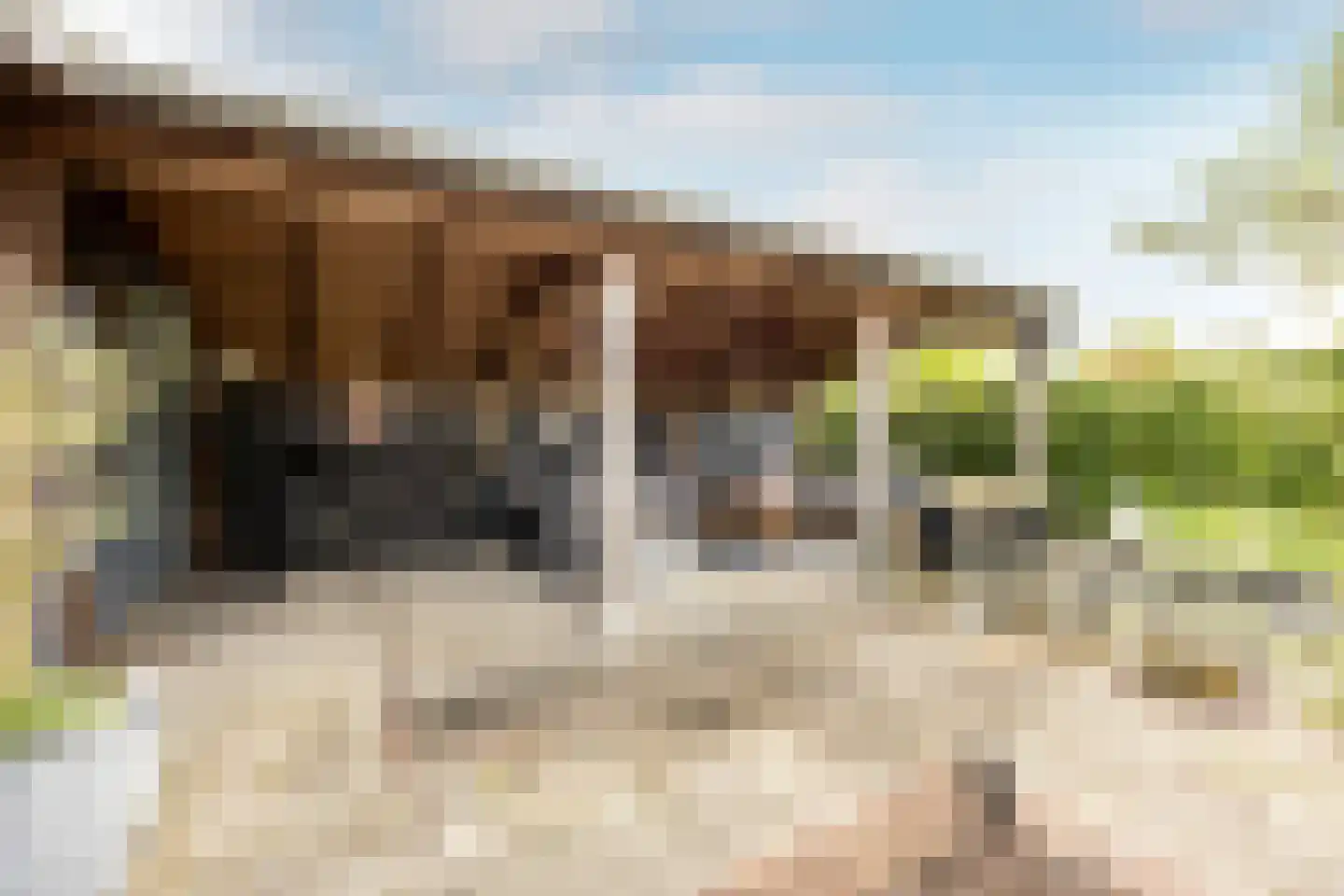Kranenhout 47 Hoofddorp thumbnail 24