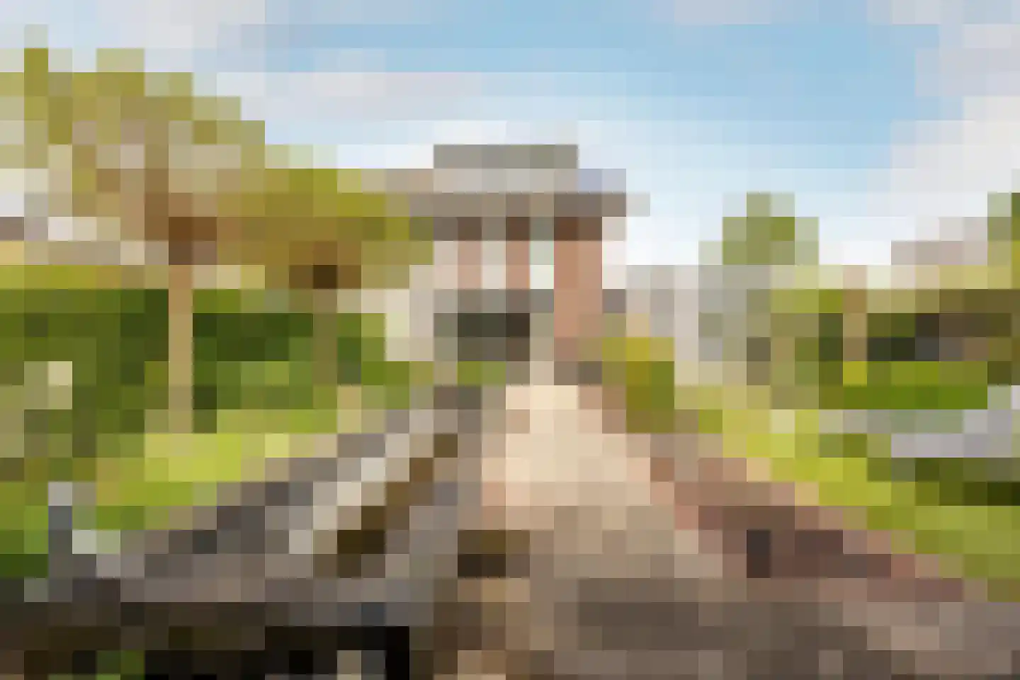 Kranenhout 47 Hoofddorp thumbnail 25