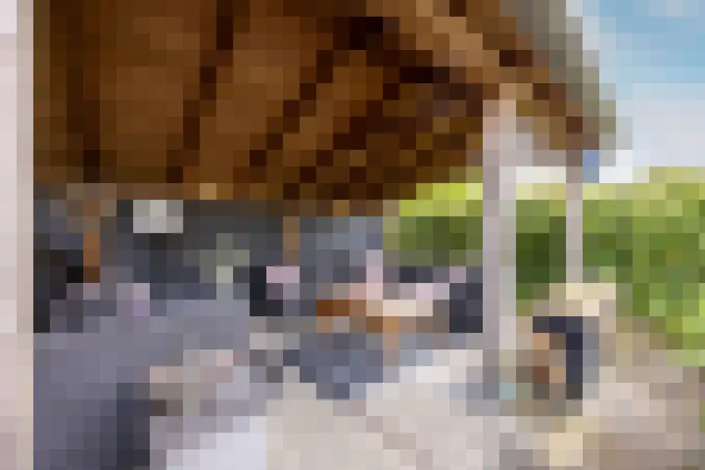 Kranenhout 47 Hoofddorp thumbnail 26