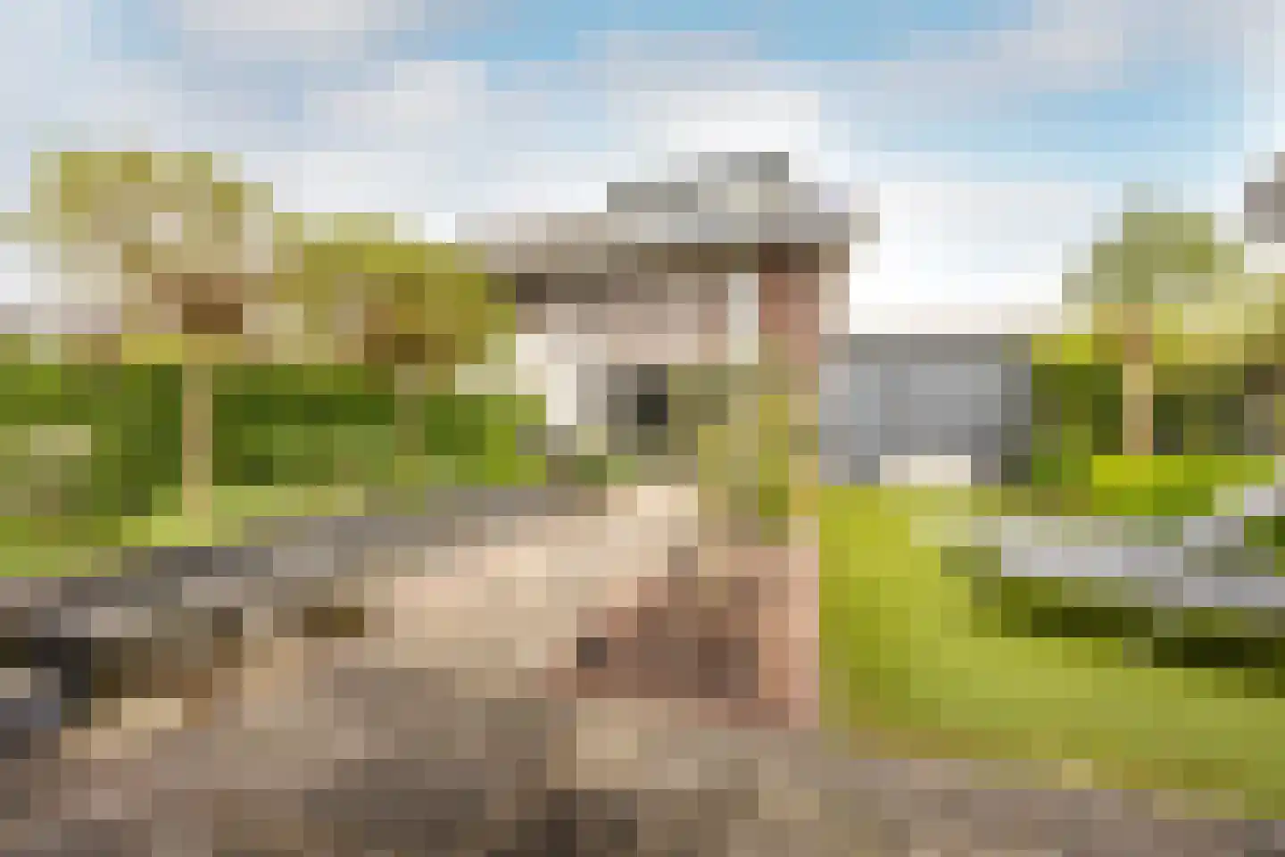 Kranenhout 47 Hoofddorp foto 3
