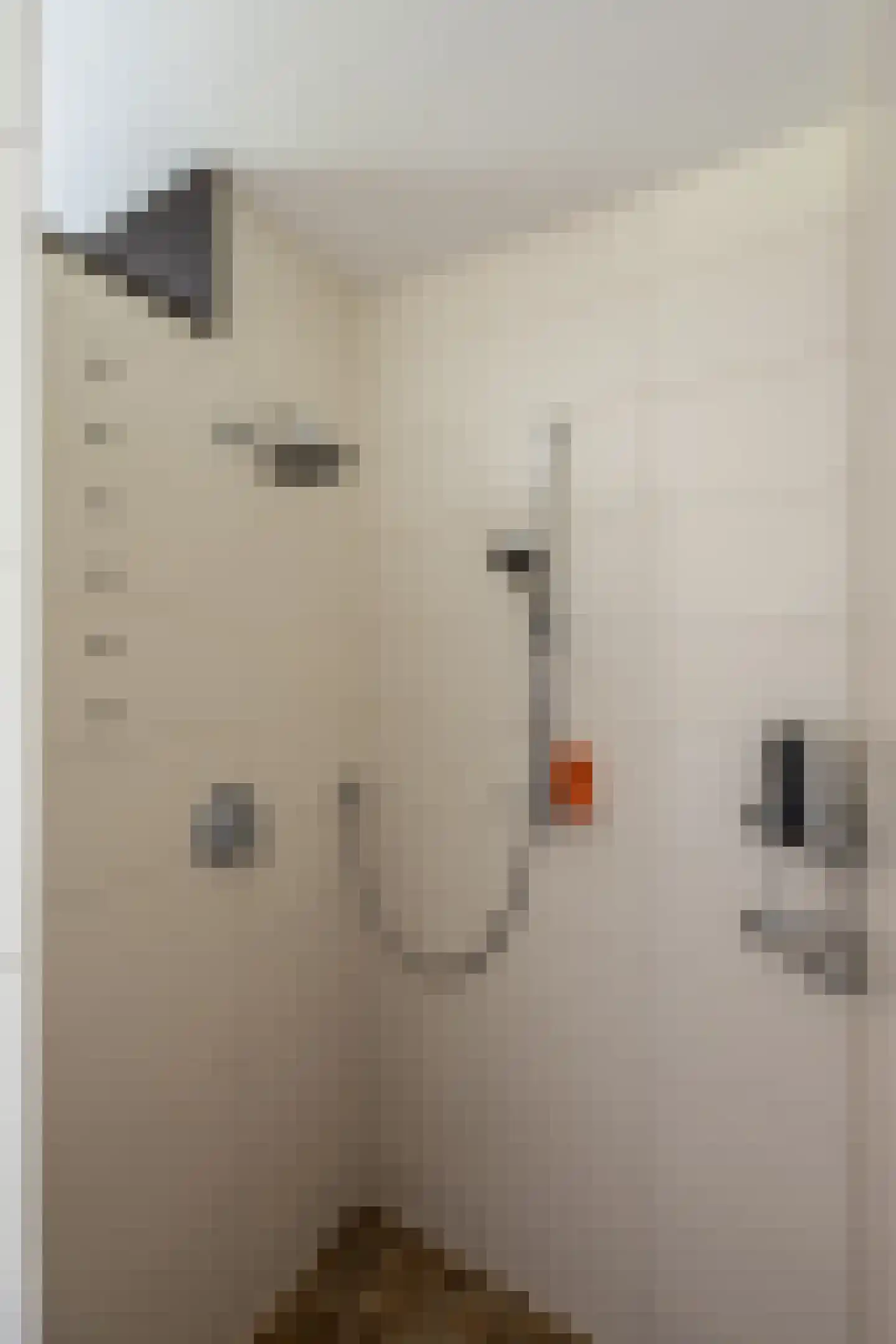 Kranenhout 47 Hoofddorp thumbnail 31