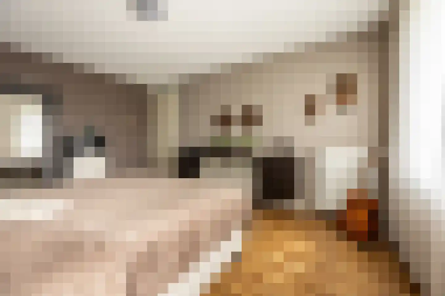 Kranenhout 47 Hoofddorp thumbnail 34
