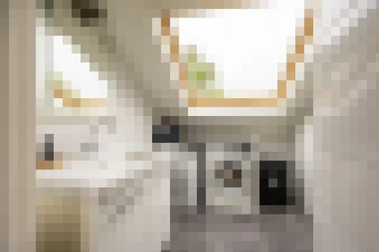 Kranenhout 47 Hoofddorp thumbnail 40