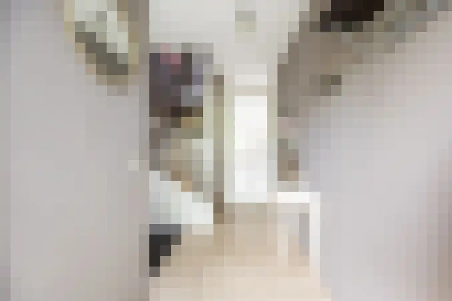 Kranenhout 47 Hoofddorp thumbnail 5