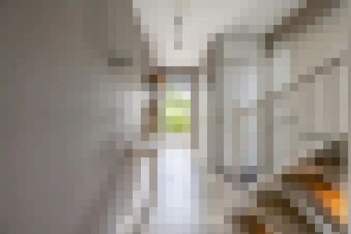 Kranenhout 47 Hoofddorp thumbnail 6