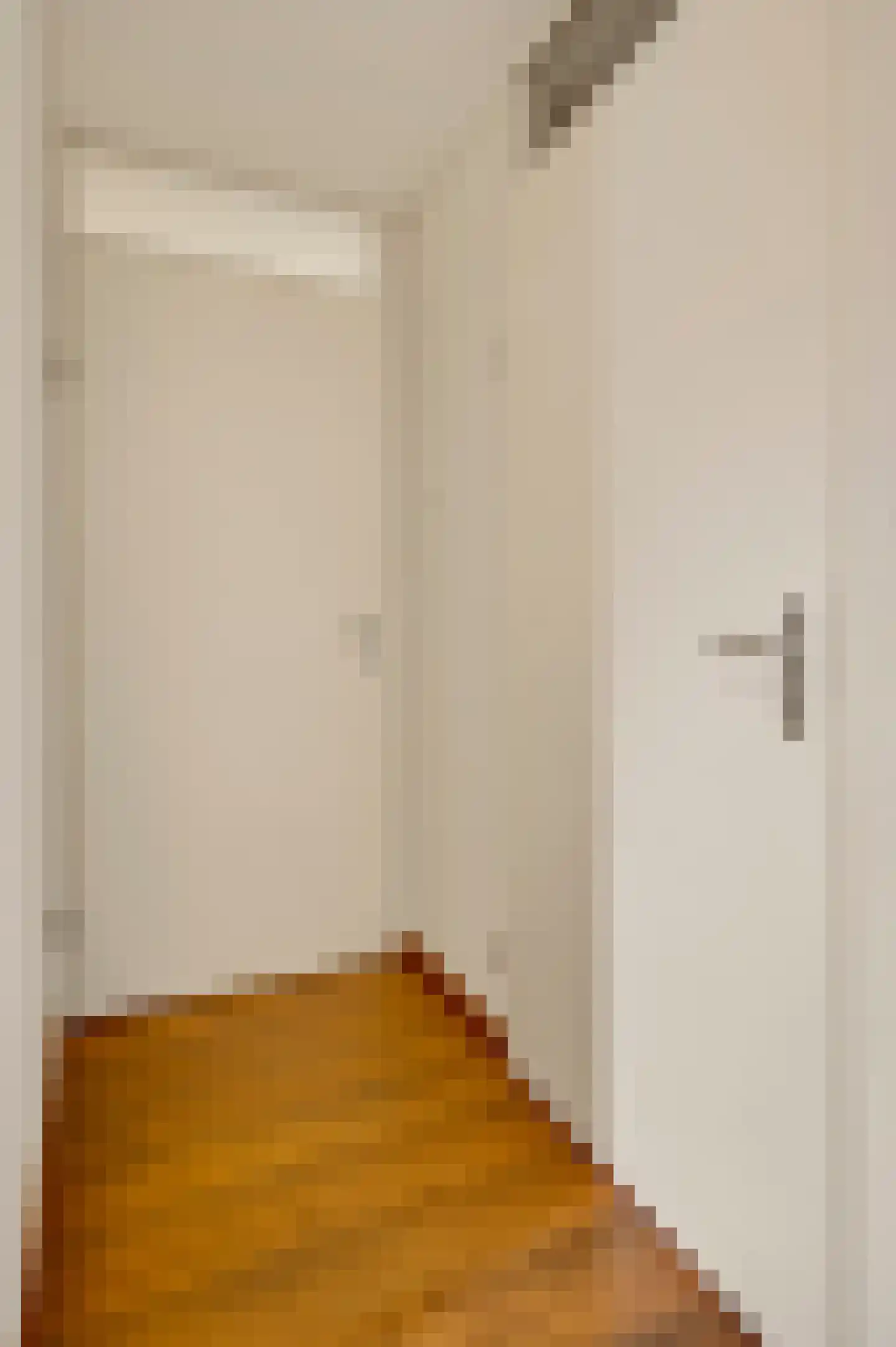 Kranestraat 3 b Horst thumbnail 13