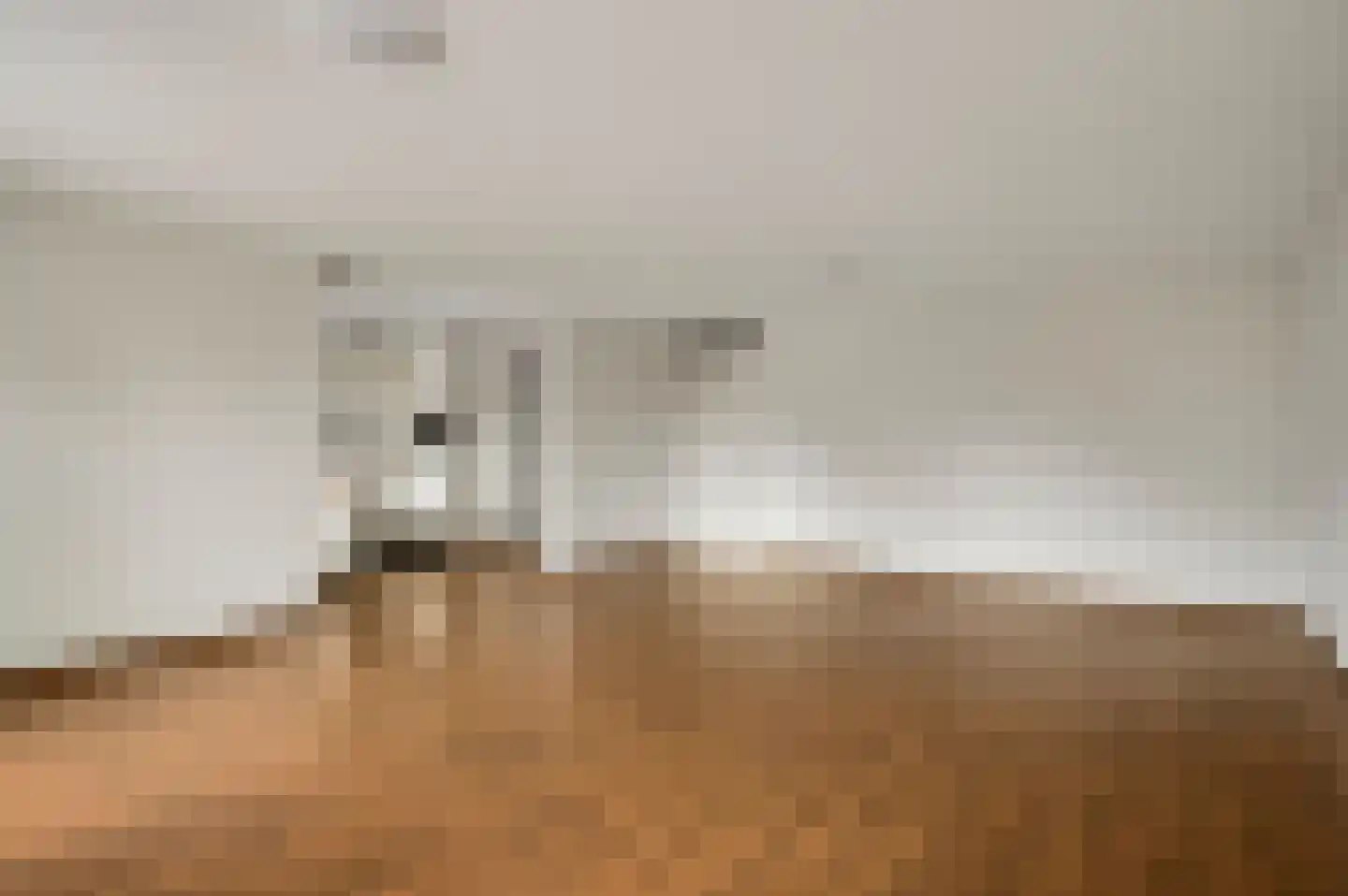 Kranestraat 3 b Horst thumbnail 16