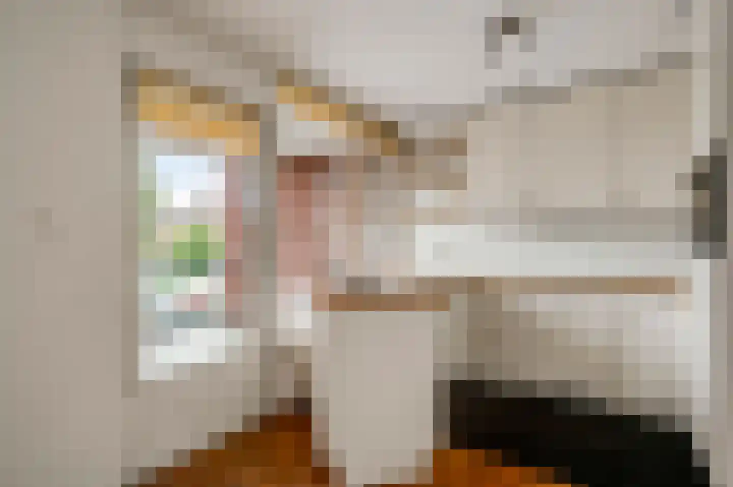 Kranestraat 3 b Horst thumbnail 17