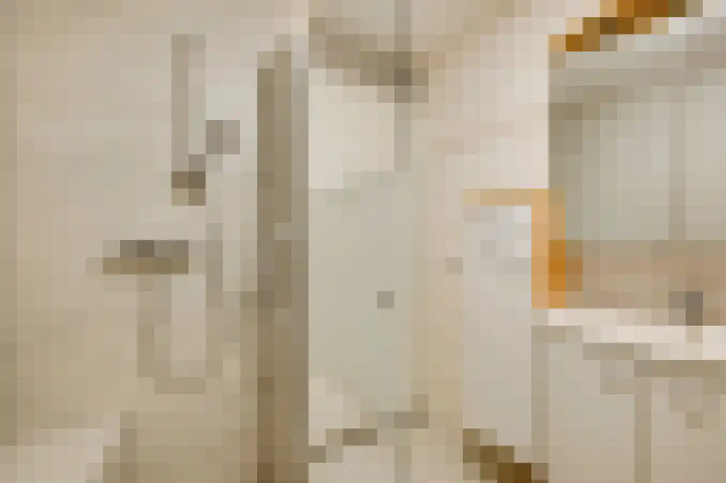 Kranestraat 3 b Horst thumbnail 5