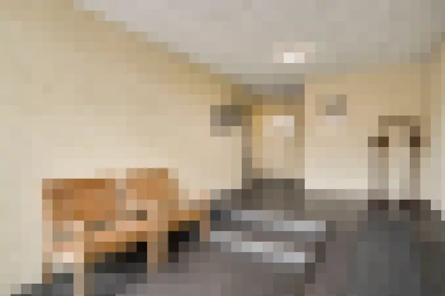Kranestraat 3 b Horst thumbnail 7