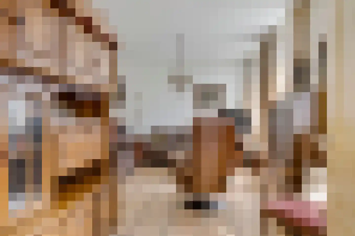 Kraneveldweg 14 Horst thumbnail 15