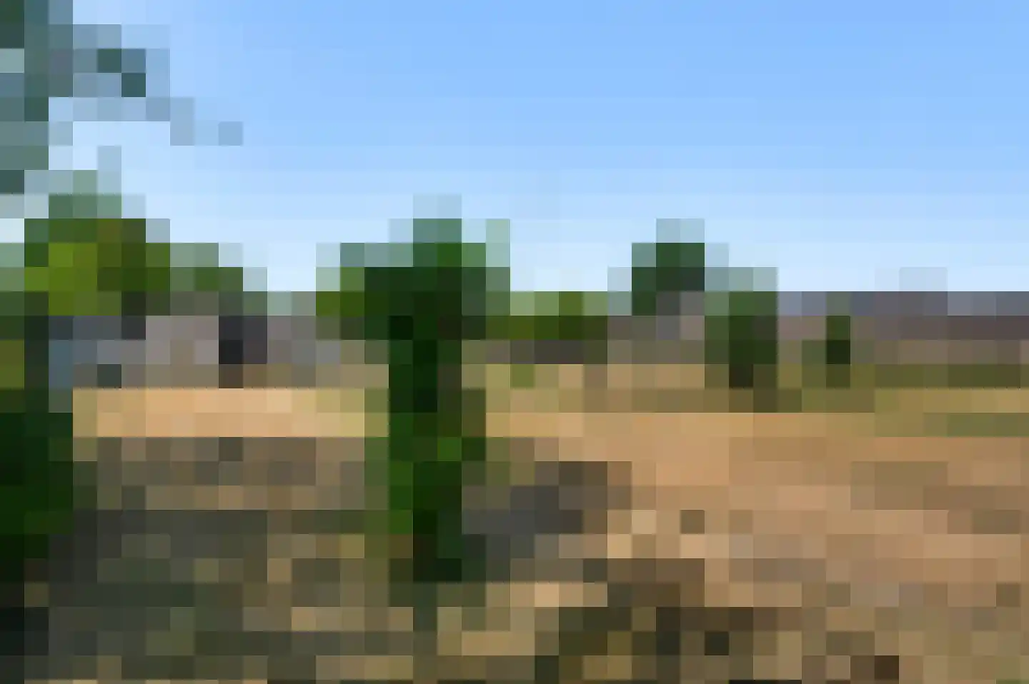 Kraneveldweg 14 Horst thumbnail 32