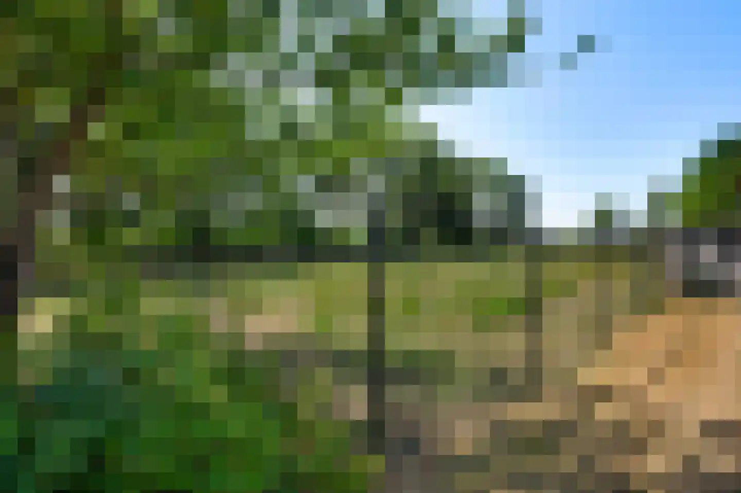 Kraneveldweg 14 Horst thumbnail 34