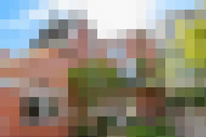 Kraneweg 101 Groningen thumbnail 32