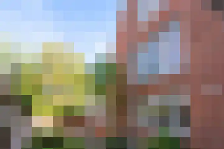 Kraneweg 101 Groningen thumbnail 33