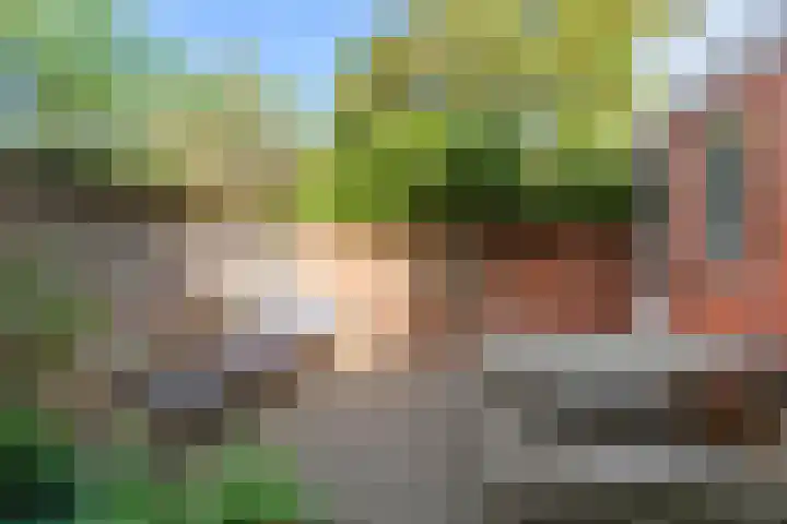 Kraneweg 101 Groningen thumbnail 34