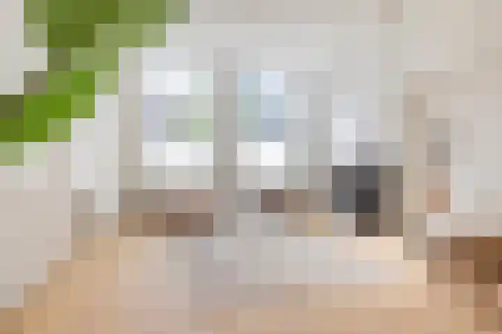 Kraneweg 101 Groningen thumbnail 51