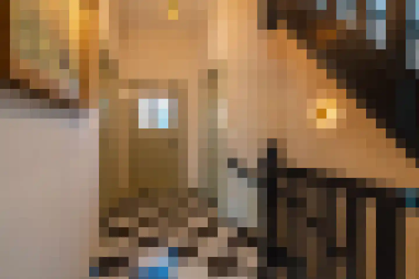 Kraneweg 39 Groningen thumbnail 41