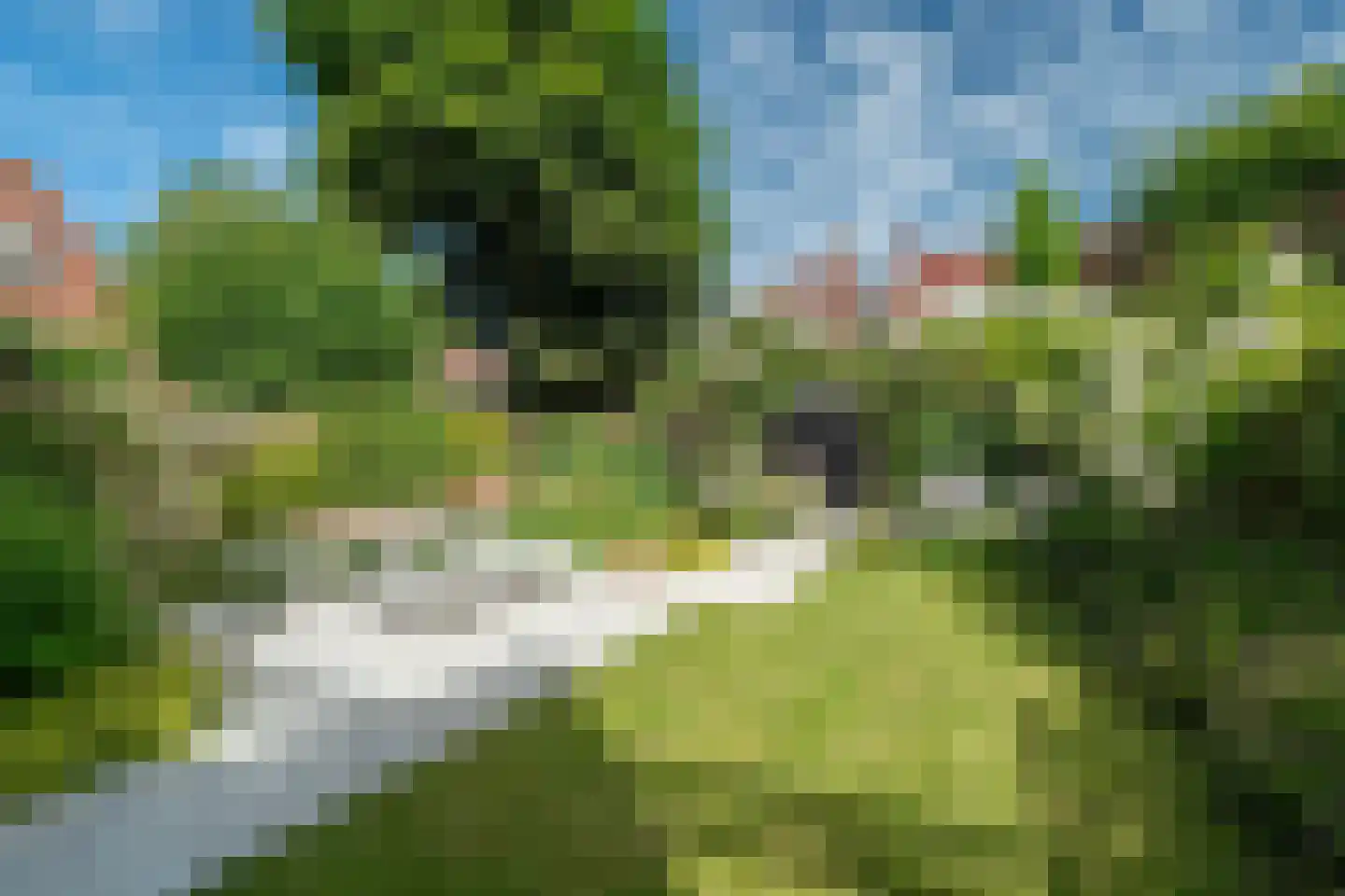 Kraneweg 39 Groningen thumbnail 79
